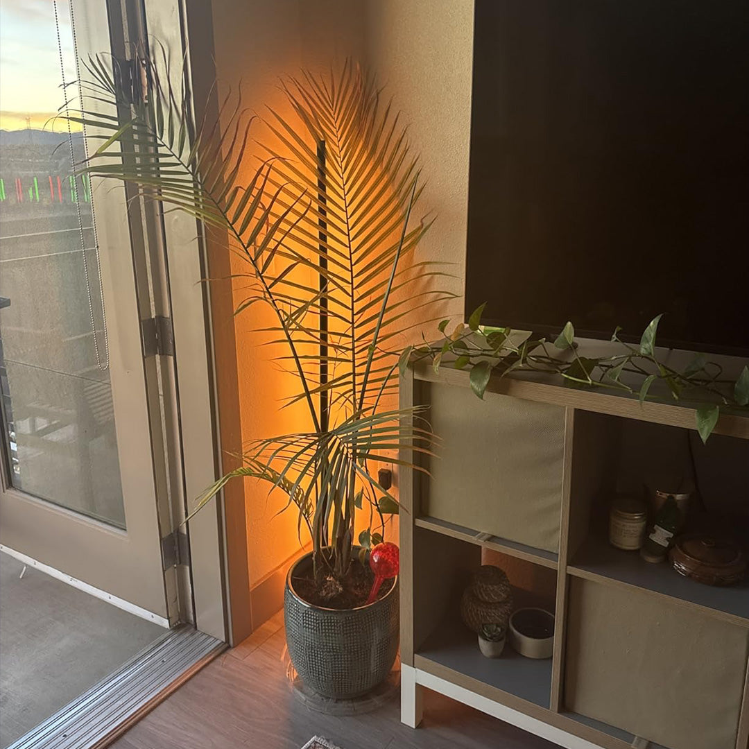 LumeAmbient™ Corner Floor Light