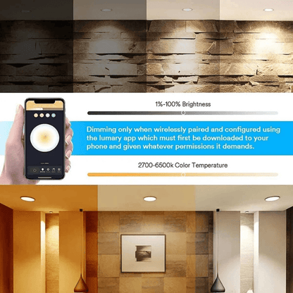 LumeAmbient™ Smart Downlight (90mm)